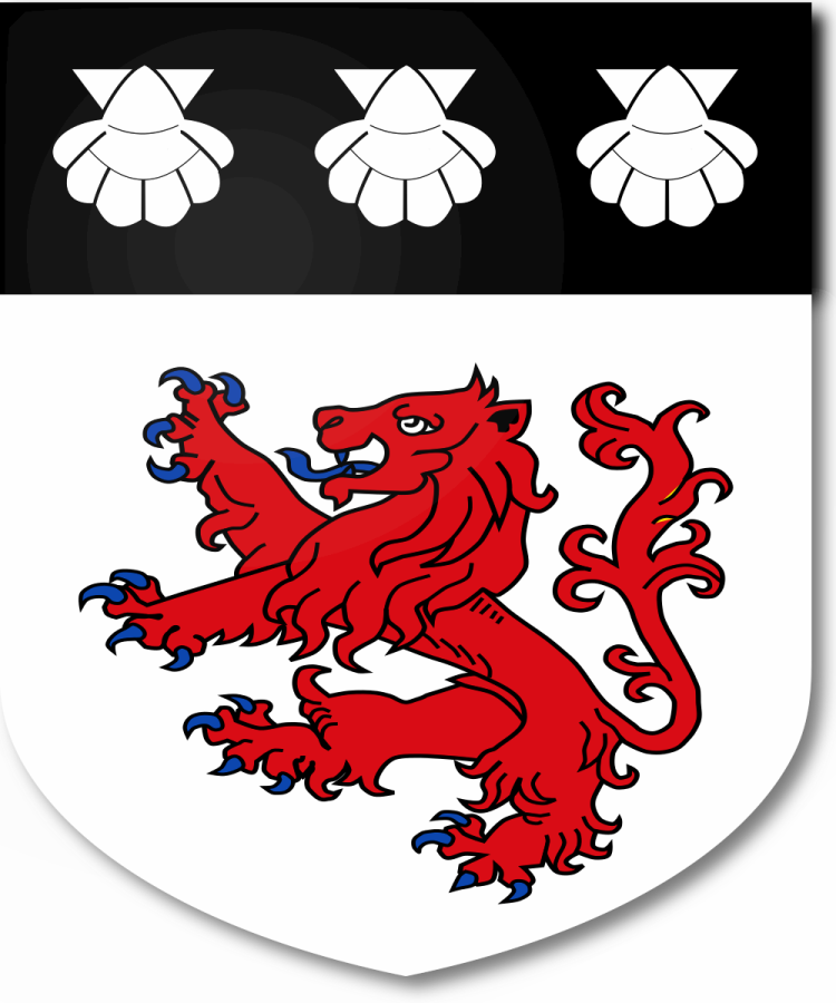 Shield image