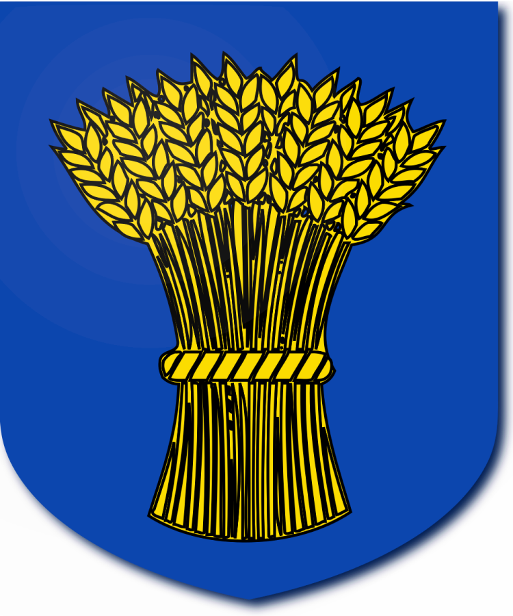 Shield image