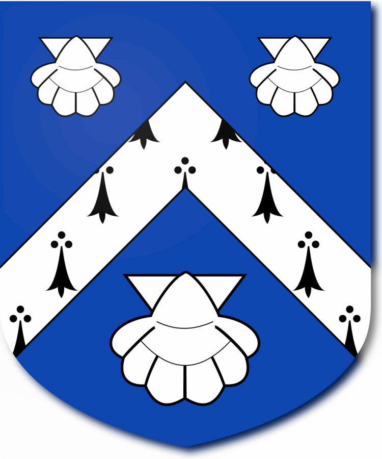 Shield image