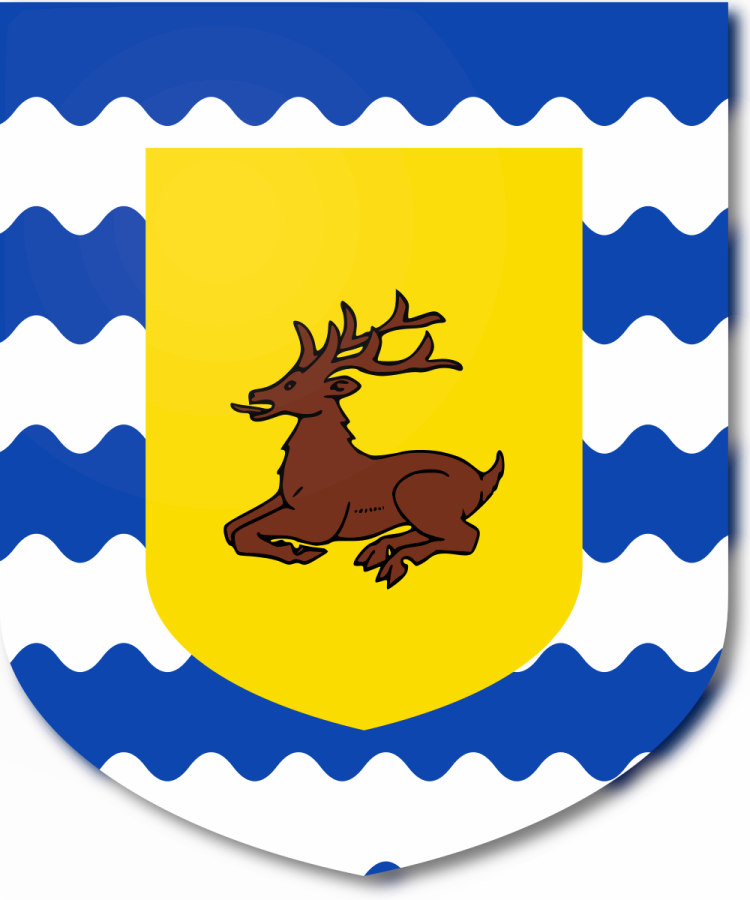 Shield image