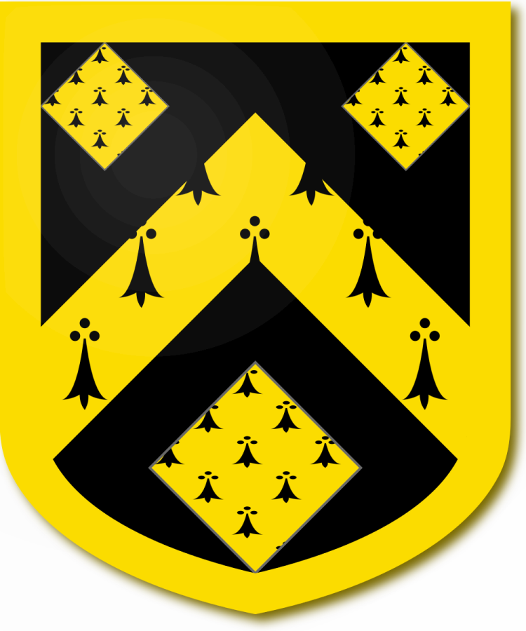 Shield image