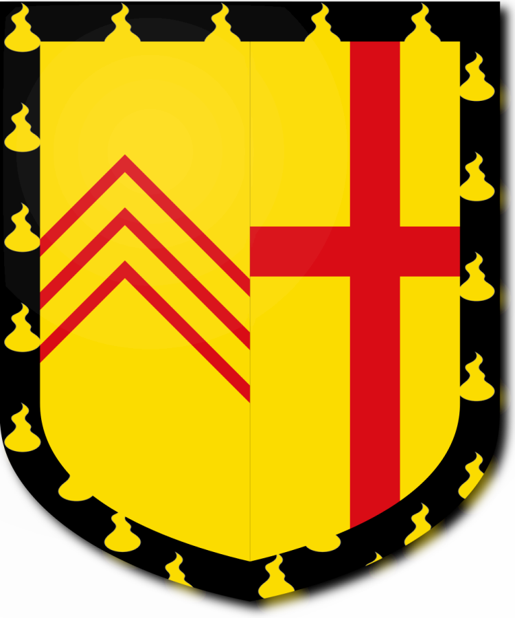 Shield image