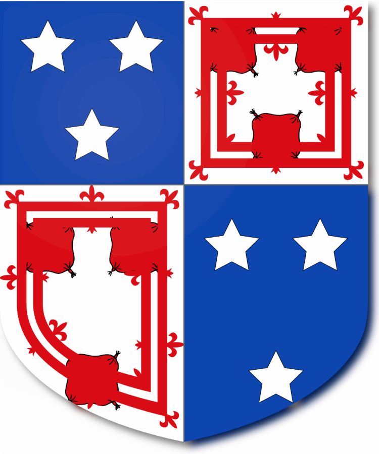 Shield image