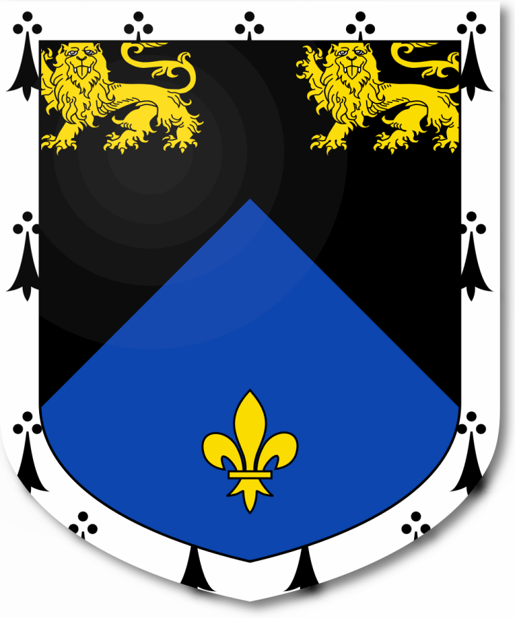 Shield image