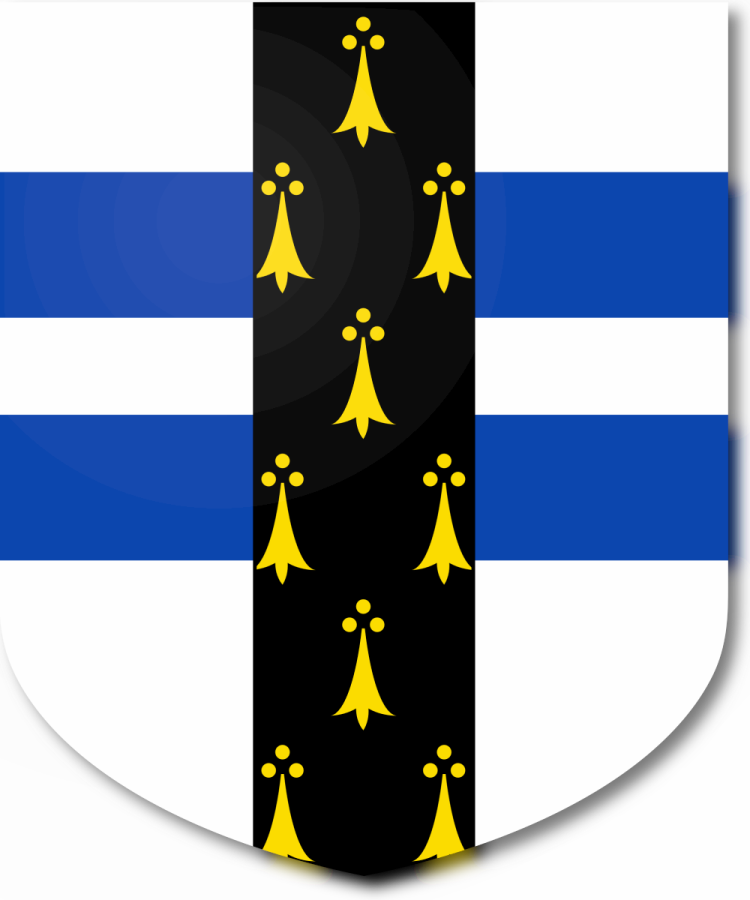 Shield image