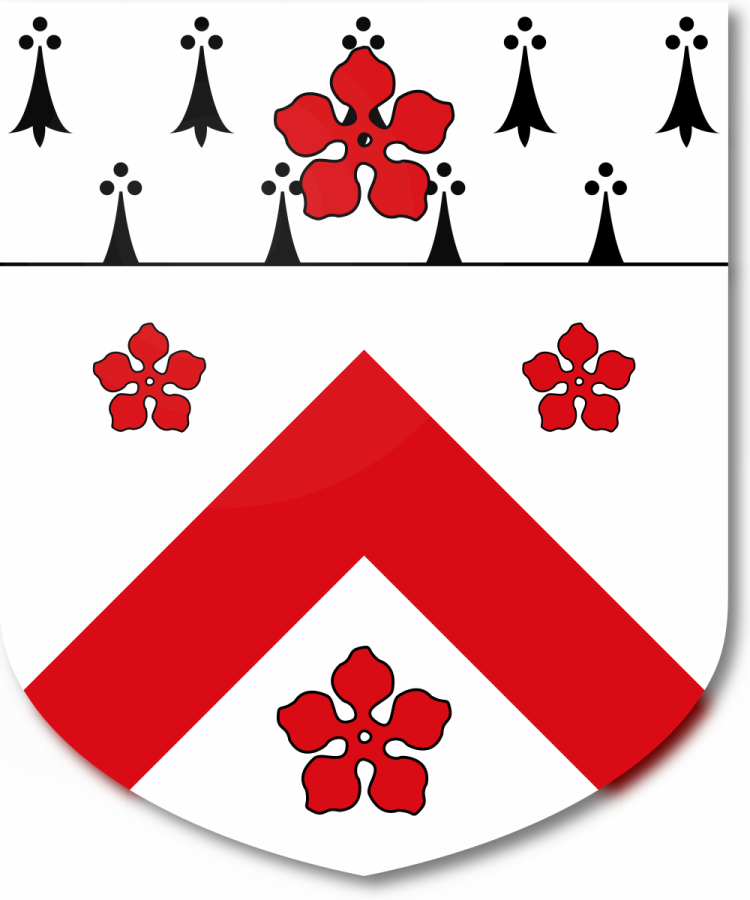 Shield image