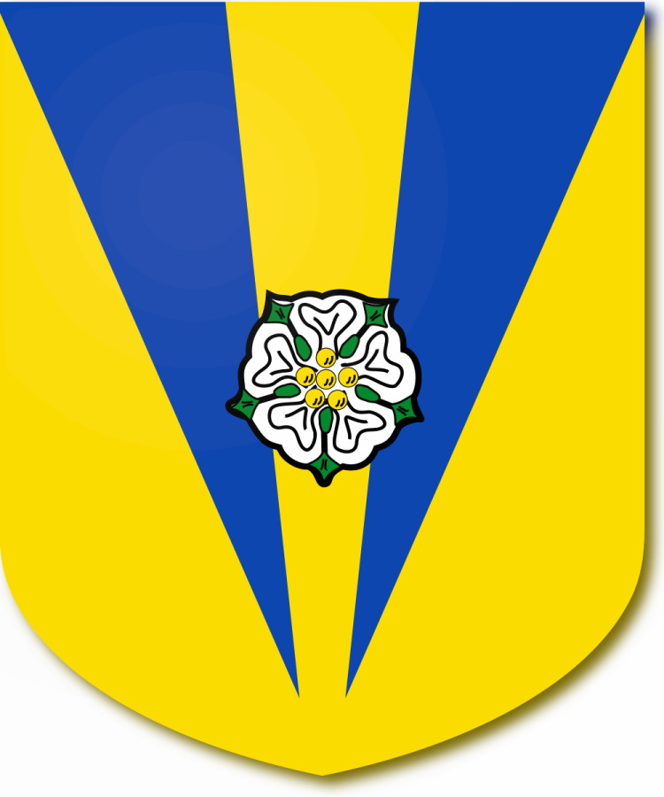 Shield image