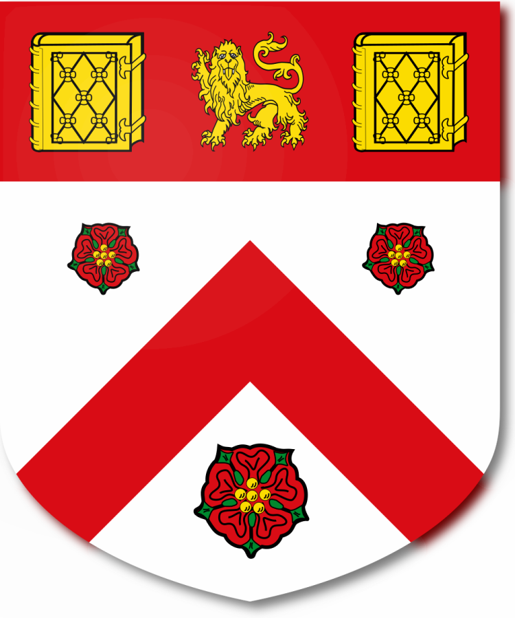 Shield image