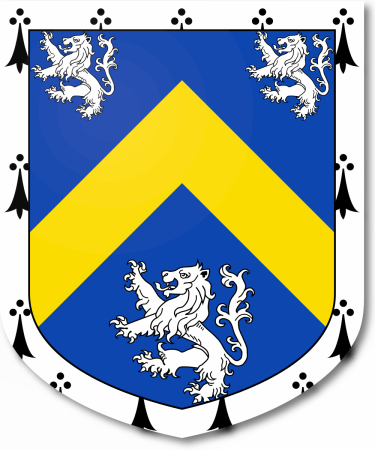 Shield image