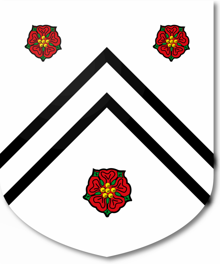 Shield image