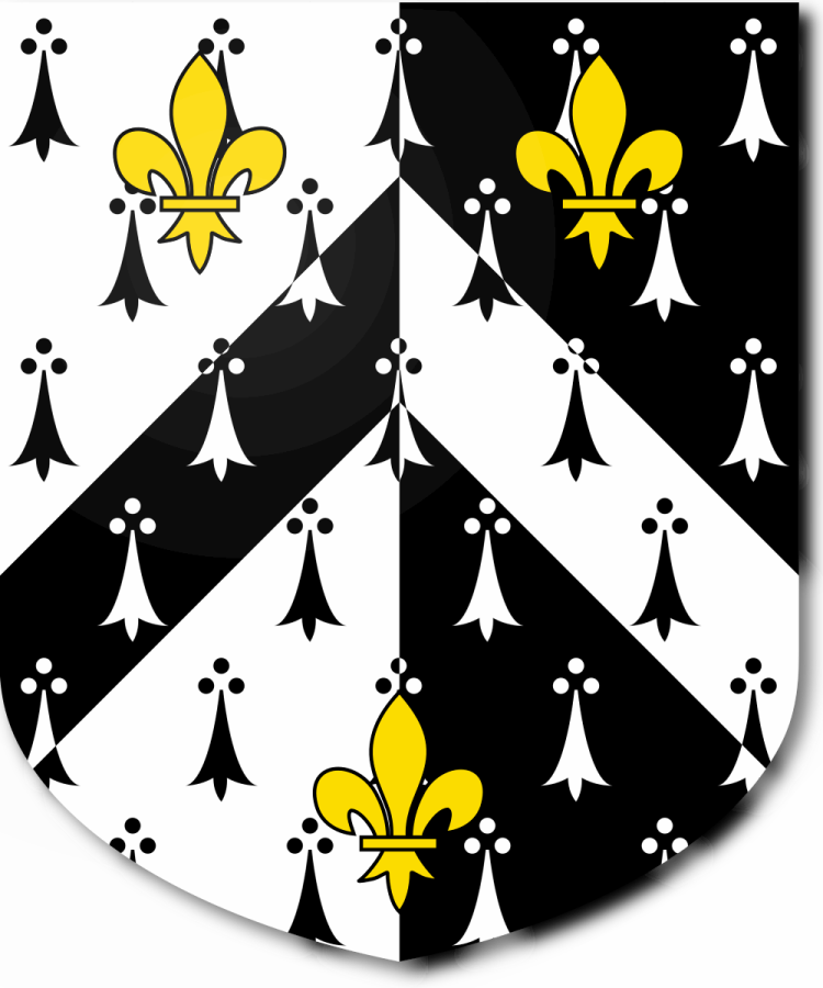 Shield image