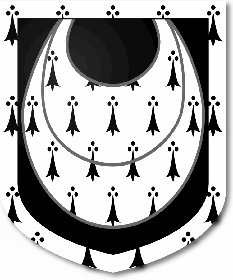 Shield image