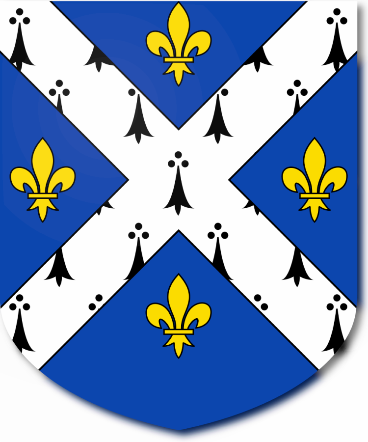 Shield image