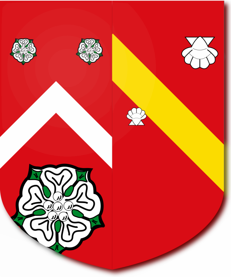 Shield image