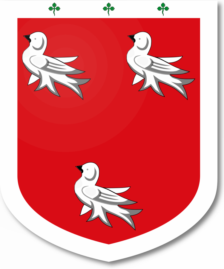 Shield image