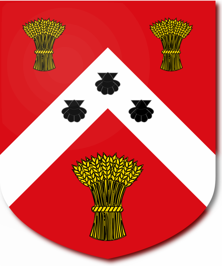 Shield image