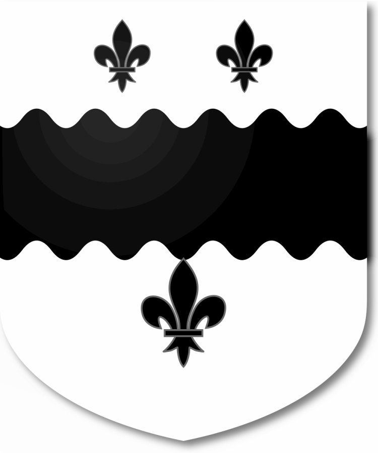 Shield image