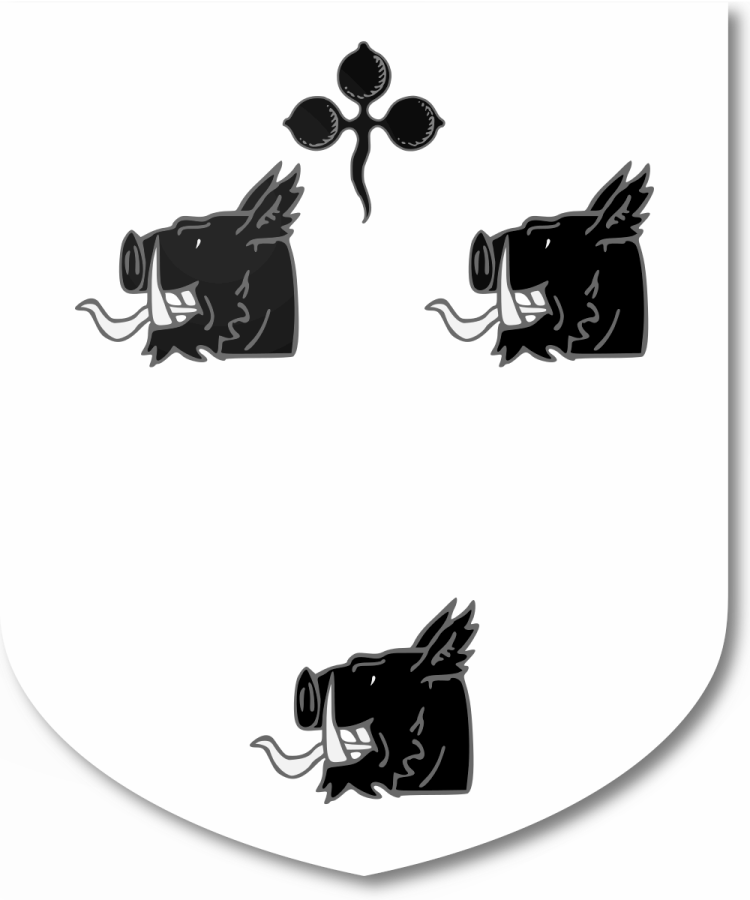 Shield image