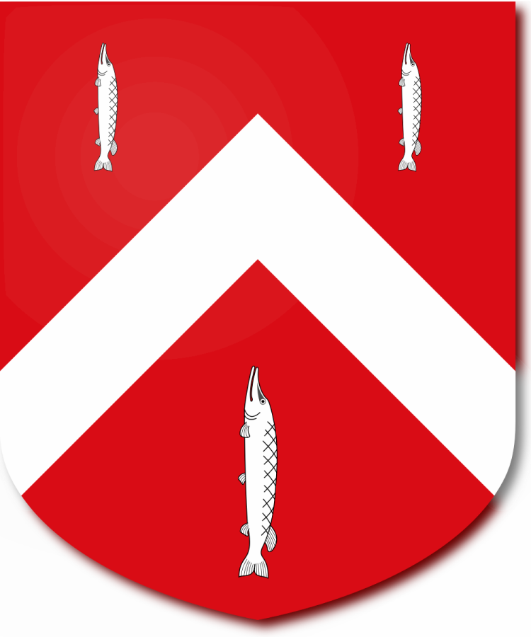 Shield image