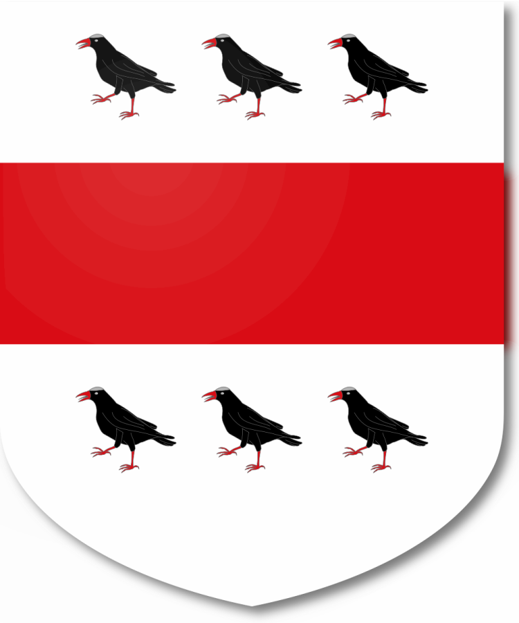 Shield image