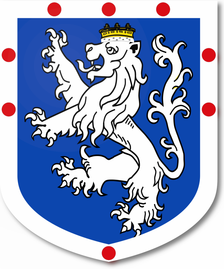 Shield image