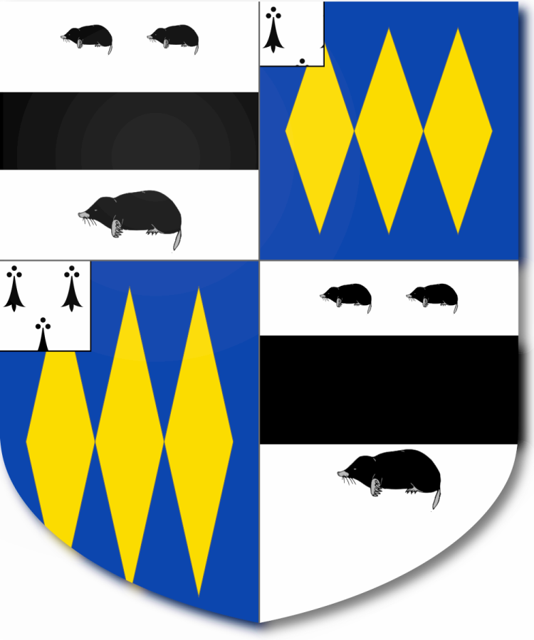 Shield image