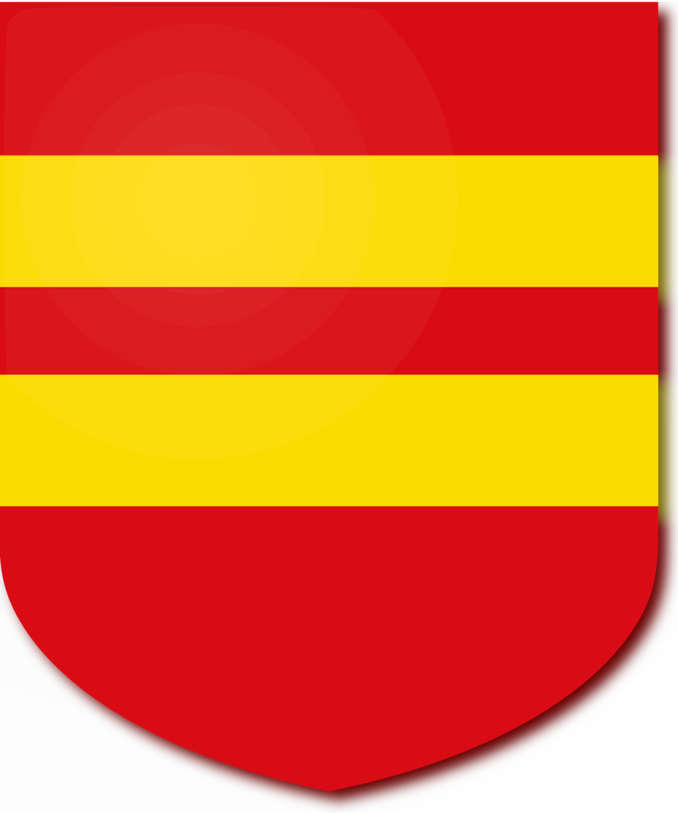 Shield image