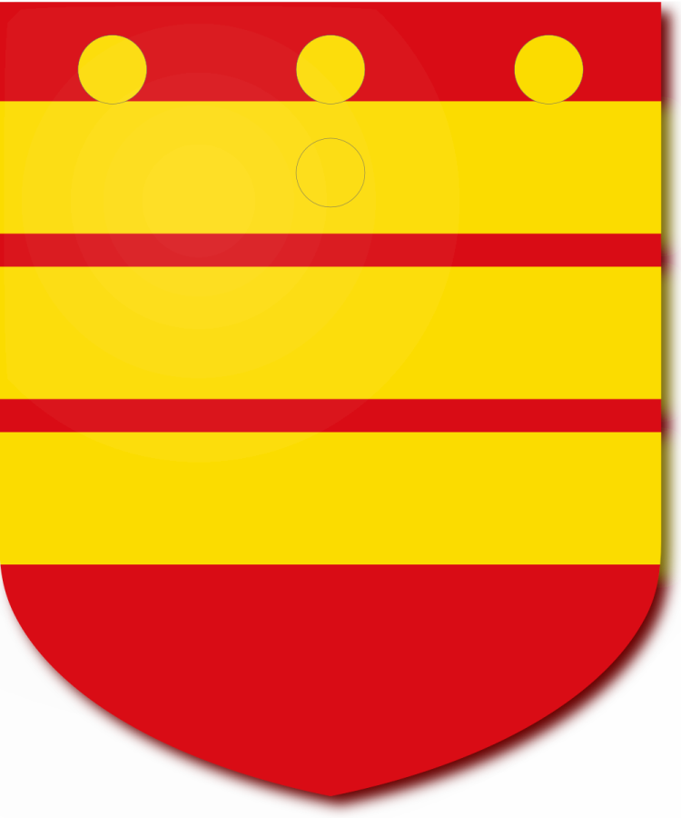 Shield image