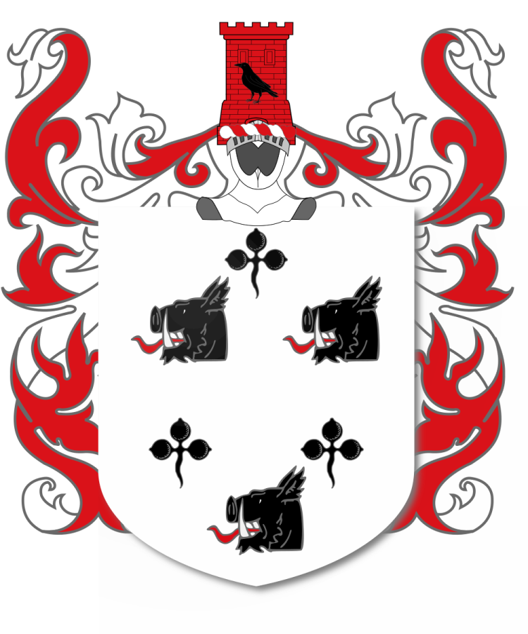 Shield image