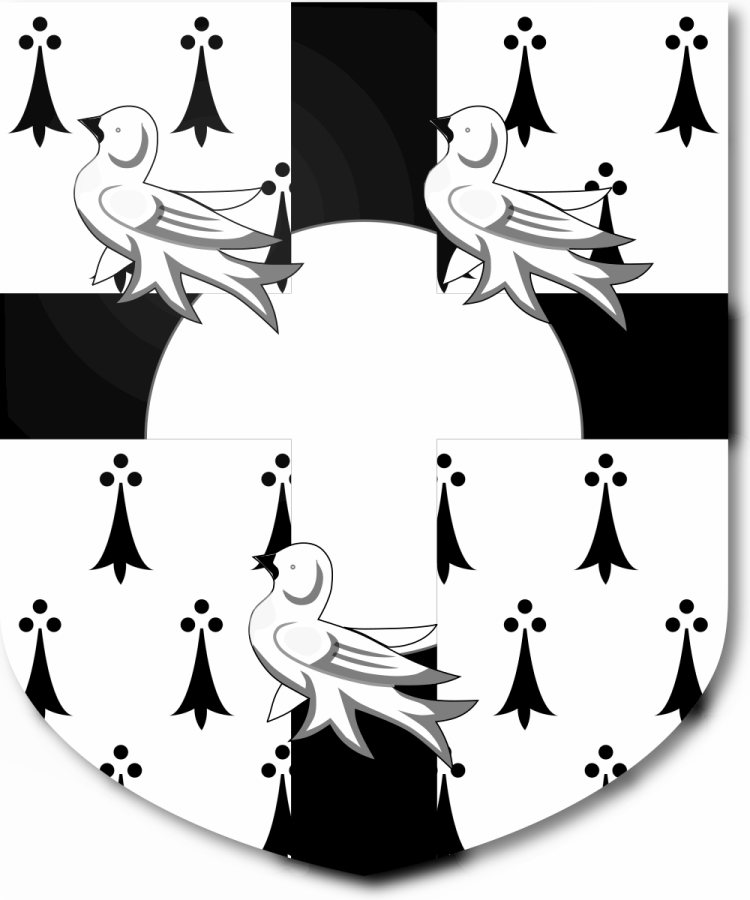 Shield image