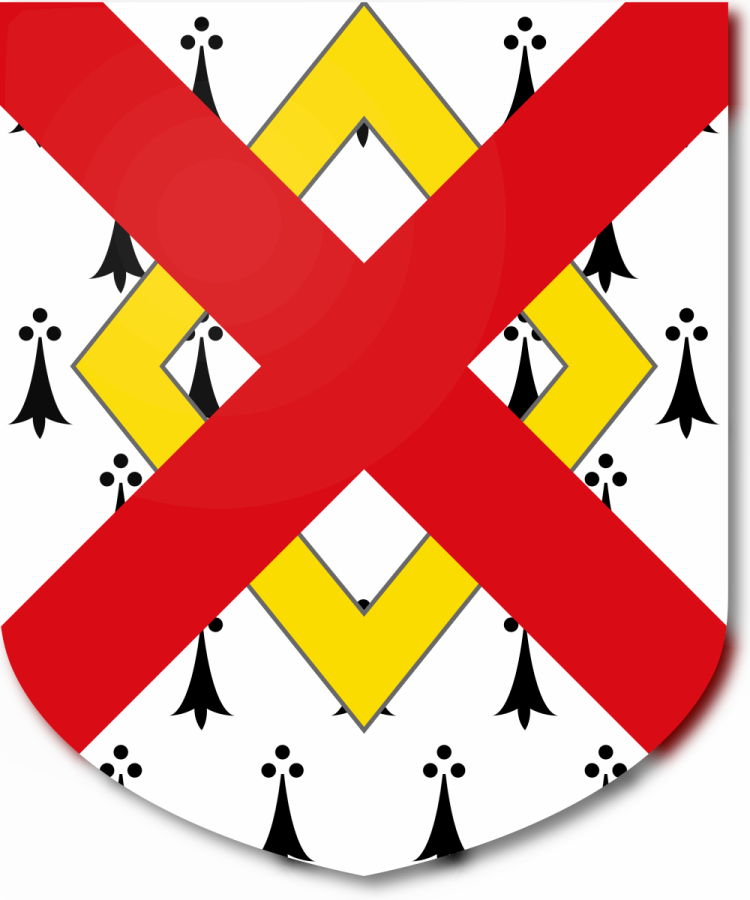 Shield image