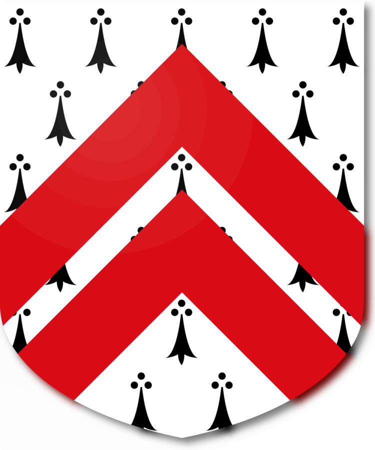 Shield image