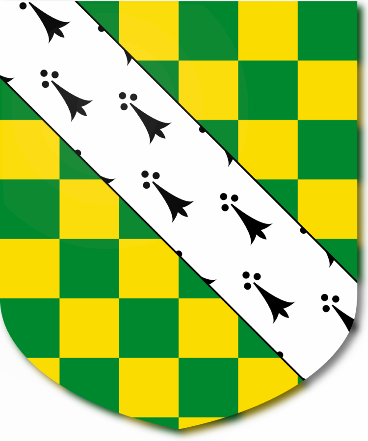 Shield image