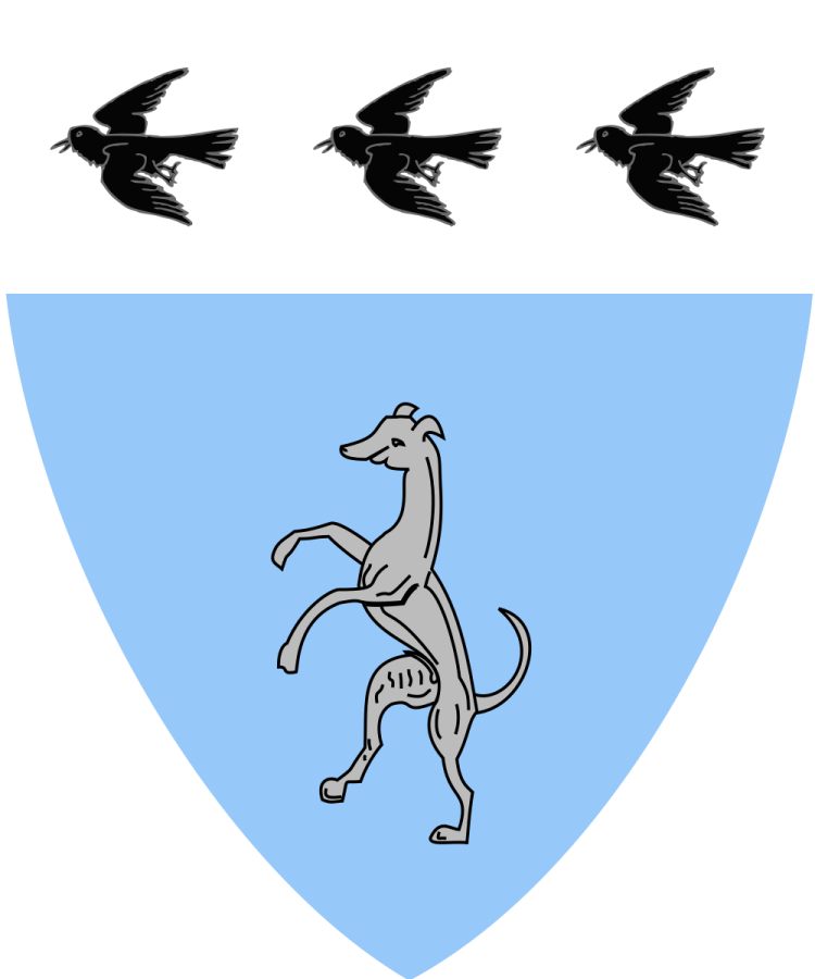 Shield image