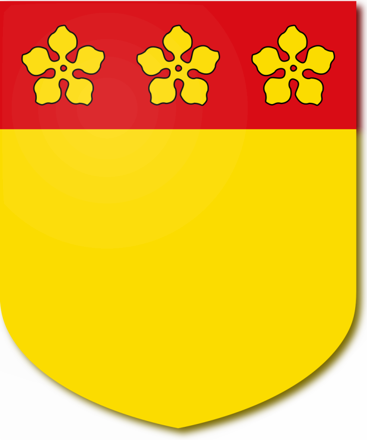 Shield image