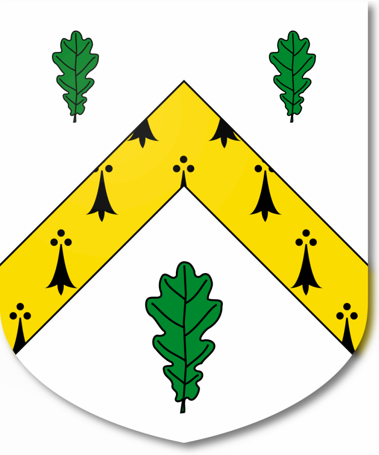 Shield image