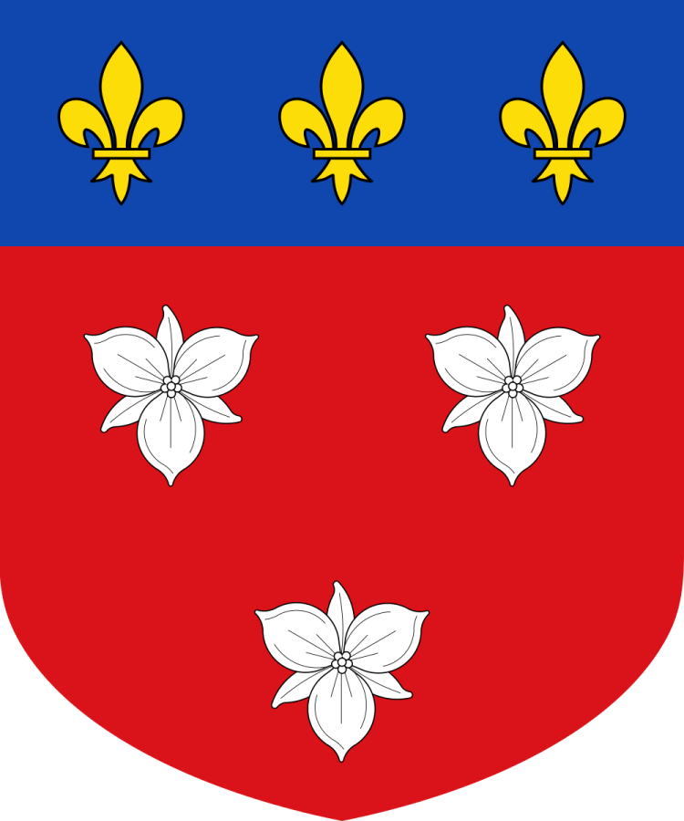 Shield image