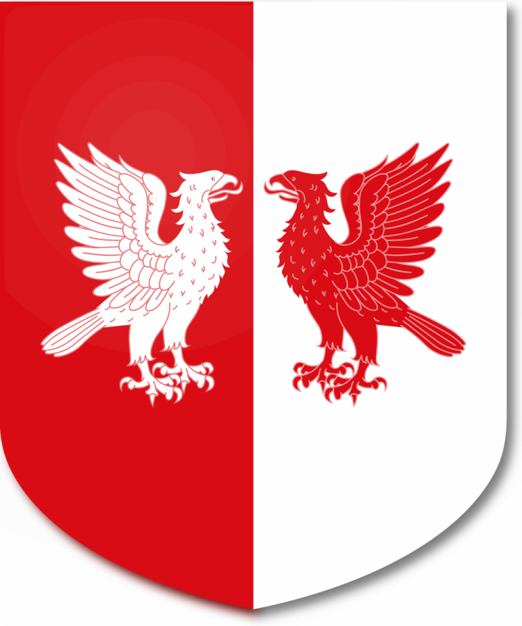 Shield image