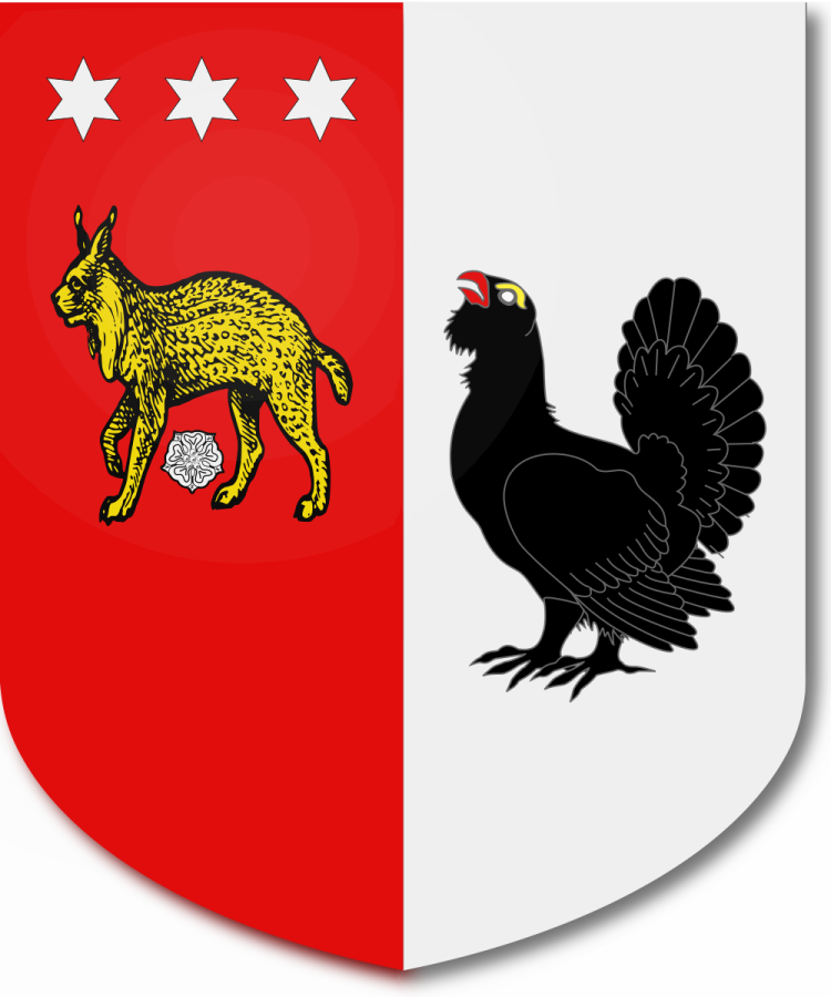 Shield image