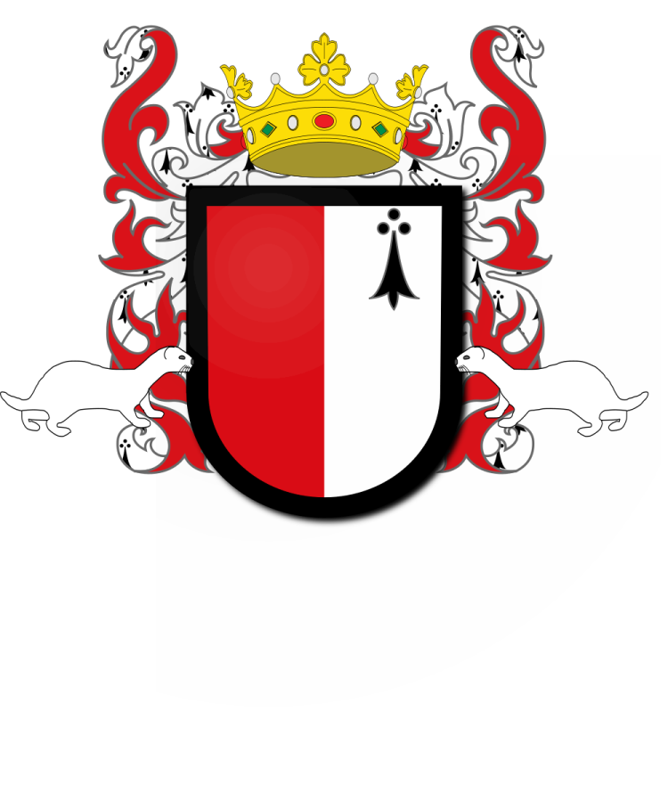 Shield image