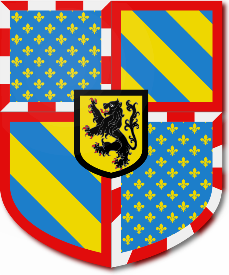 Shield image