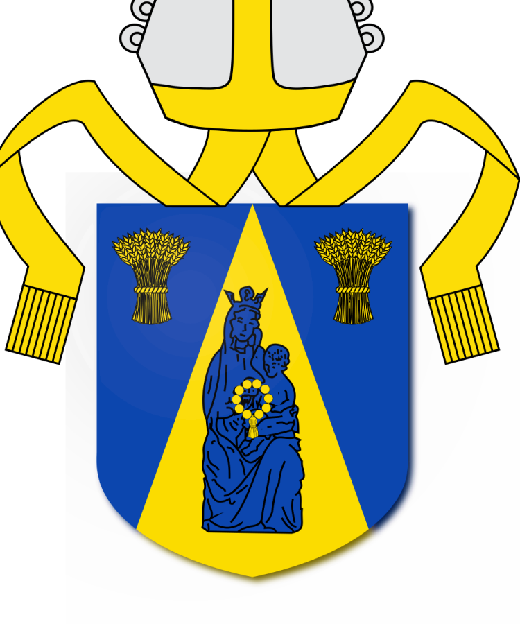 Shield image