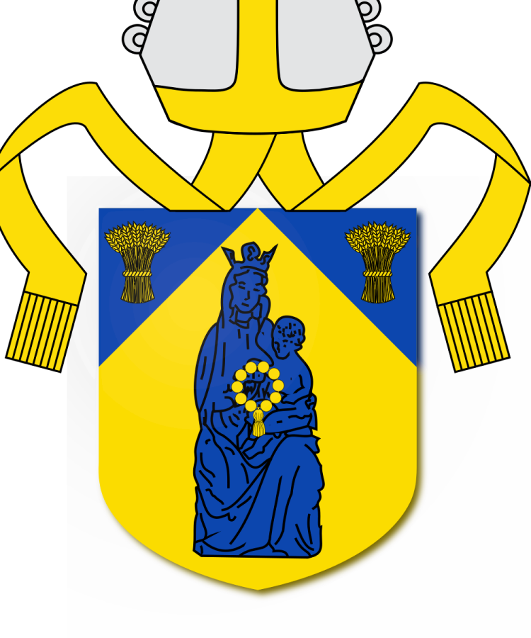 Shield image