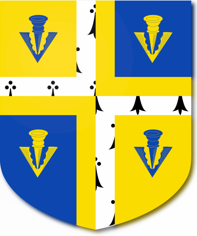 Shield image