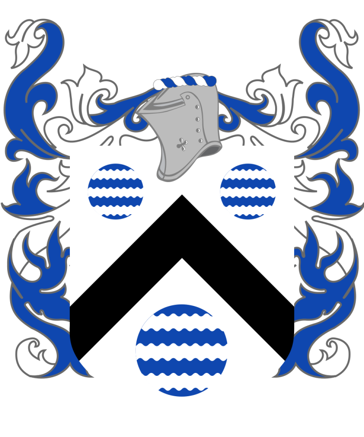 Shield image