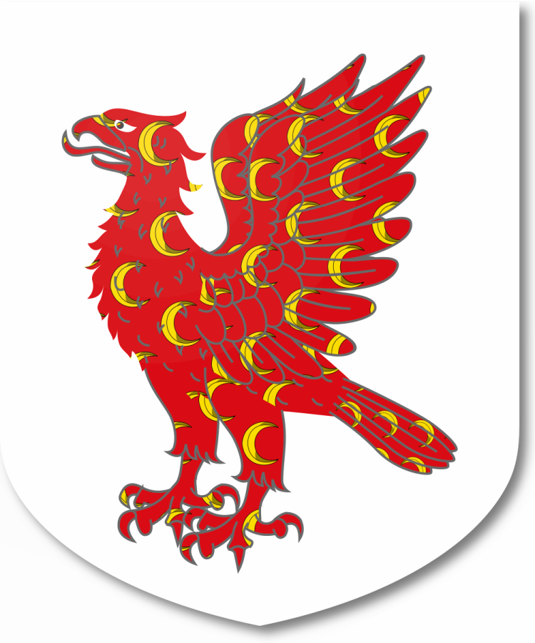 Shield image