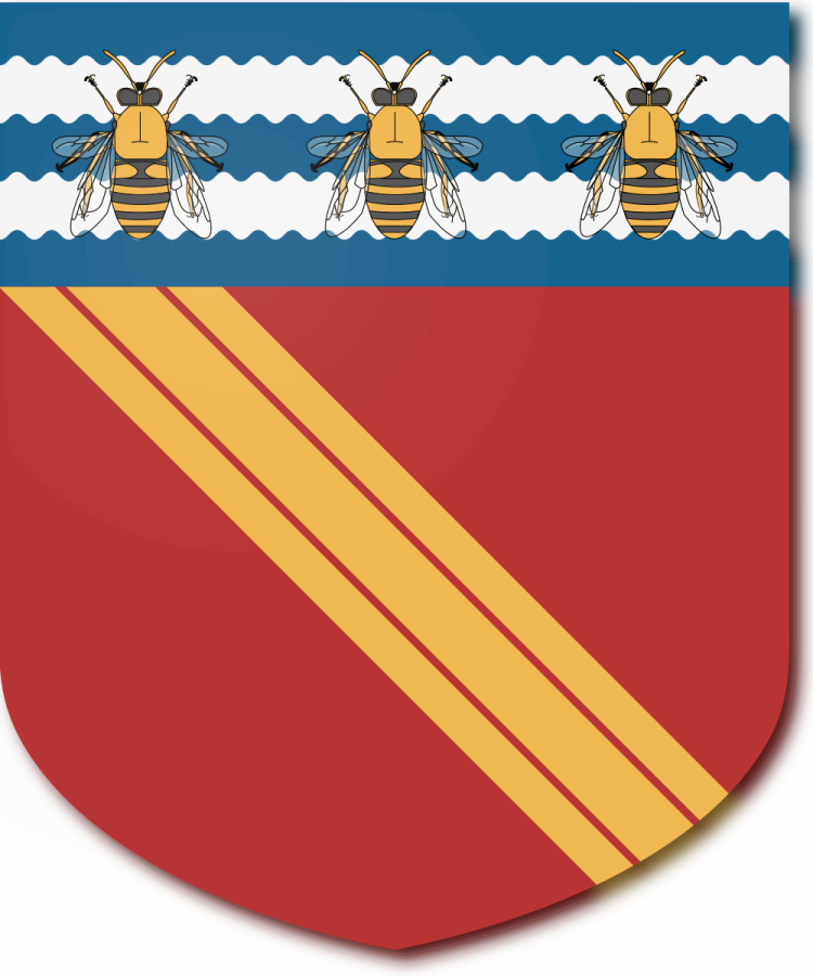 Shield image