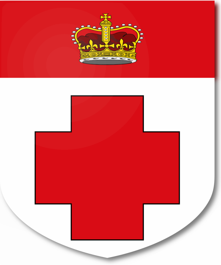 Shield image