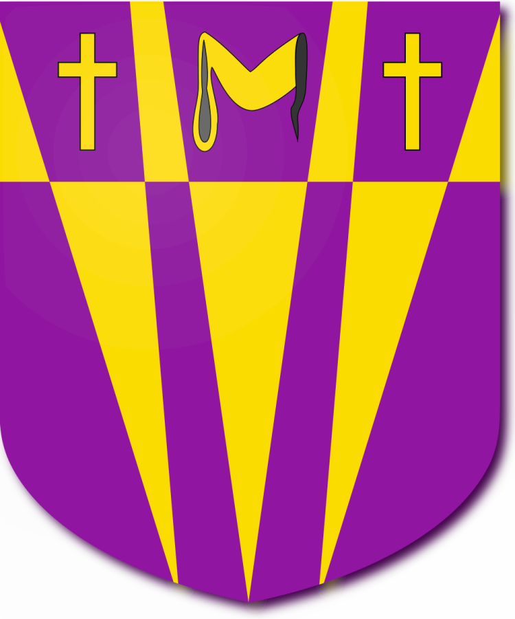 Shield image