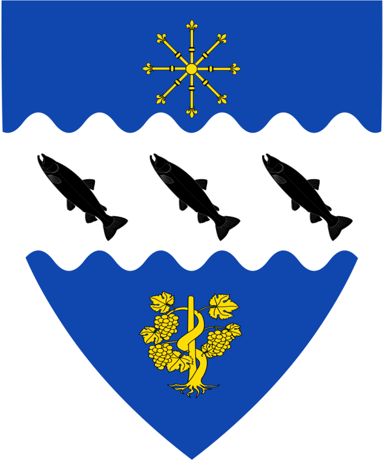 Shield image